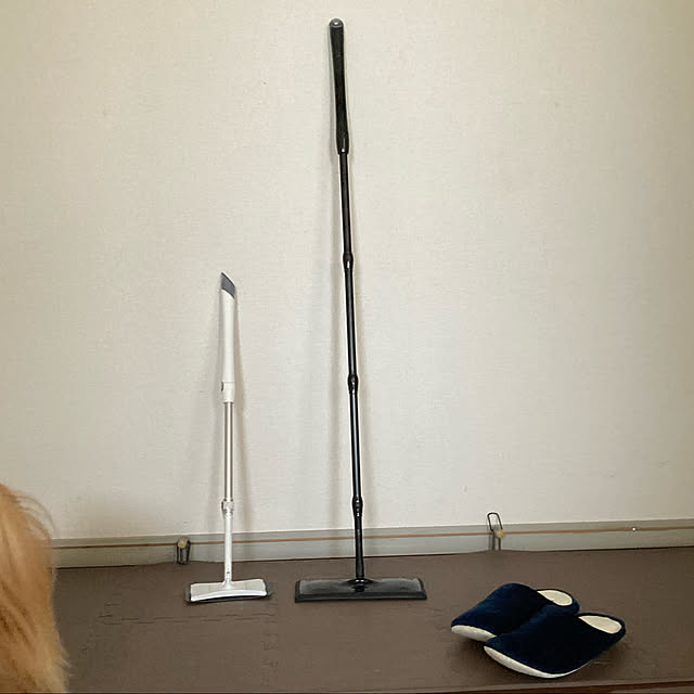 toratanさんの実例写真
