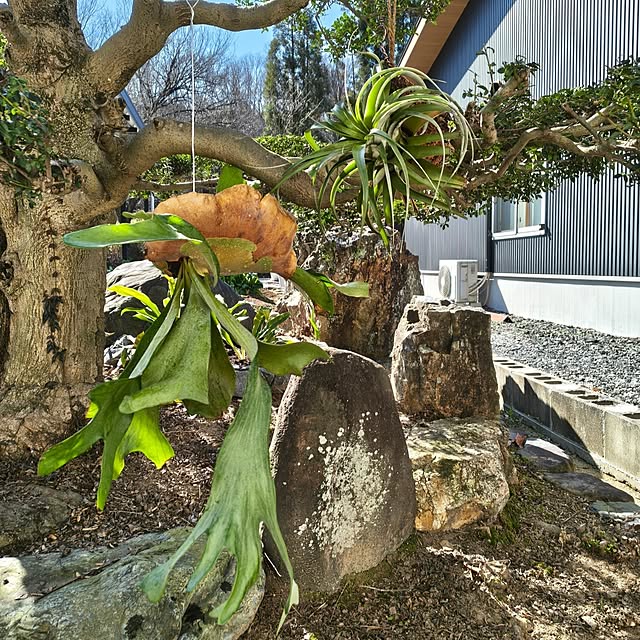 Rubiconさんの部屋