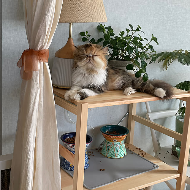 mukkomikkoさんの実例写真