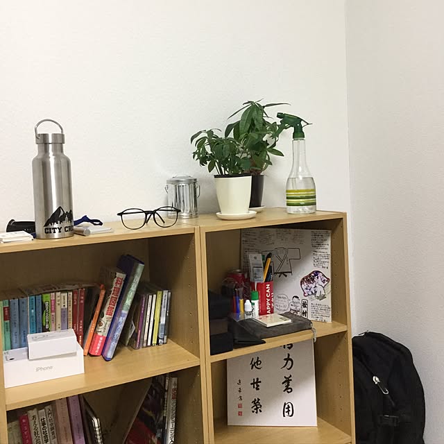 棚/一人暮らし/100均/観葉植物/ナチュラルのインテリア実例 - 2017-06-05 23:00:55