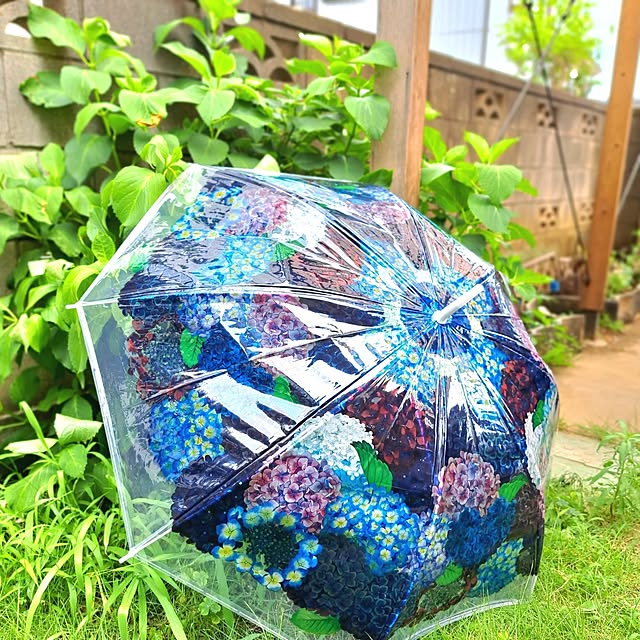 kazuraさんの部屋