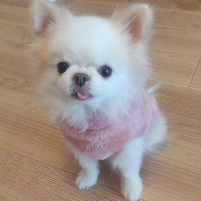 kuuさんの実例写真