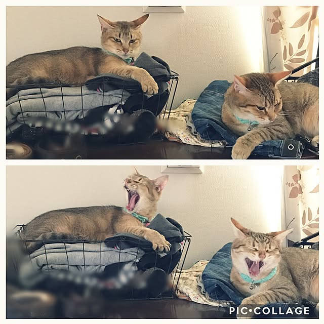1633さんの実例写真