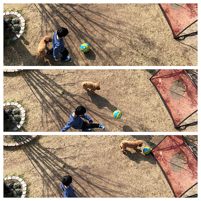 blueberryさんの実例写真