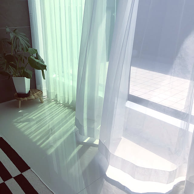 レースのカーテンのみ/観葉植物/IKEA/モノトーン/ホワイトインテリア...などのインテリア実例 - 2020-05-12 14:04:41