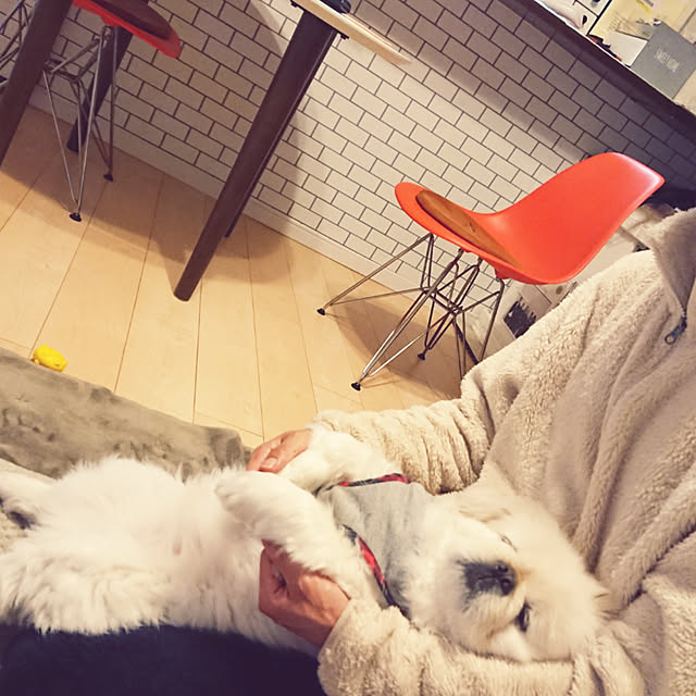 yukagomaさんの実例写真