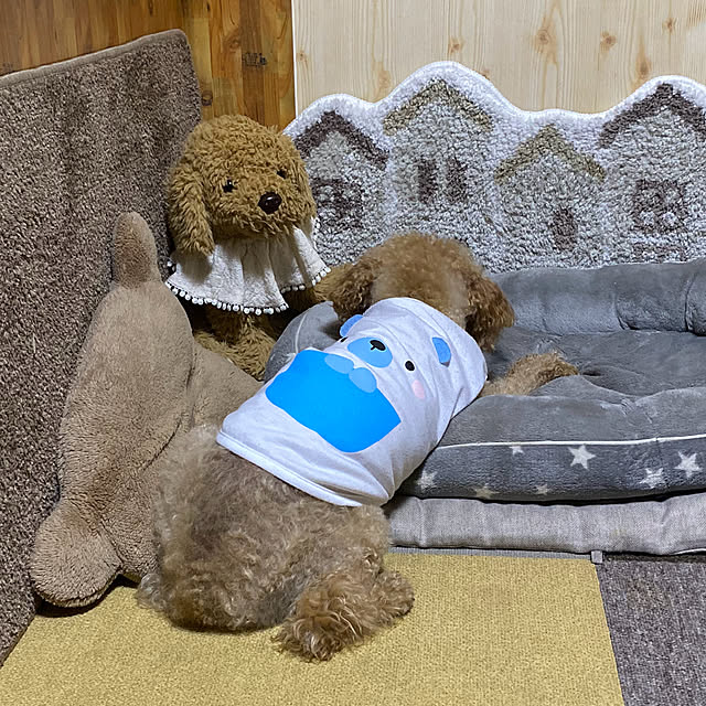 mさんの部屋