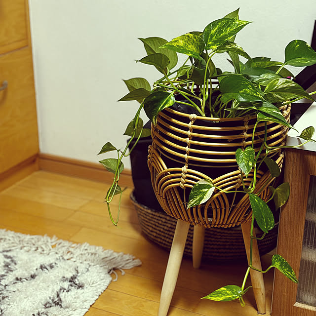 machahomeさんの実例写真