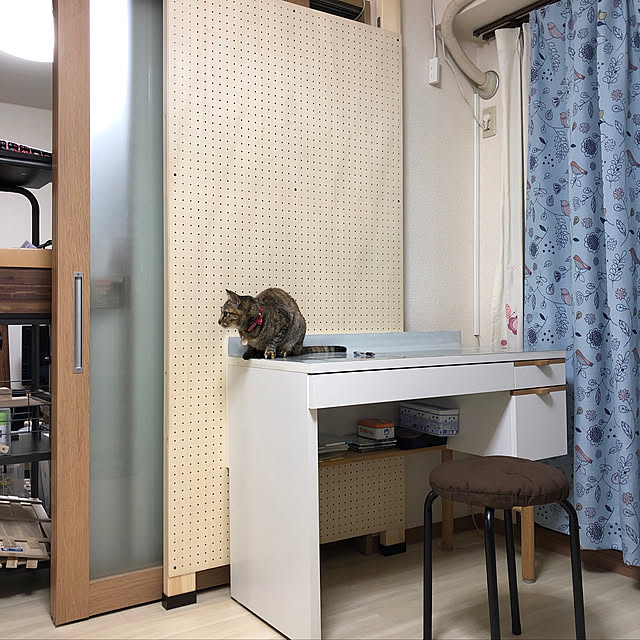 soraさんの実例写真