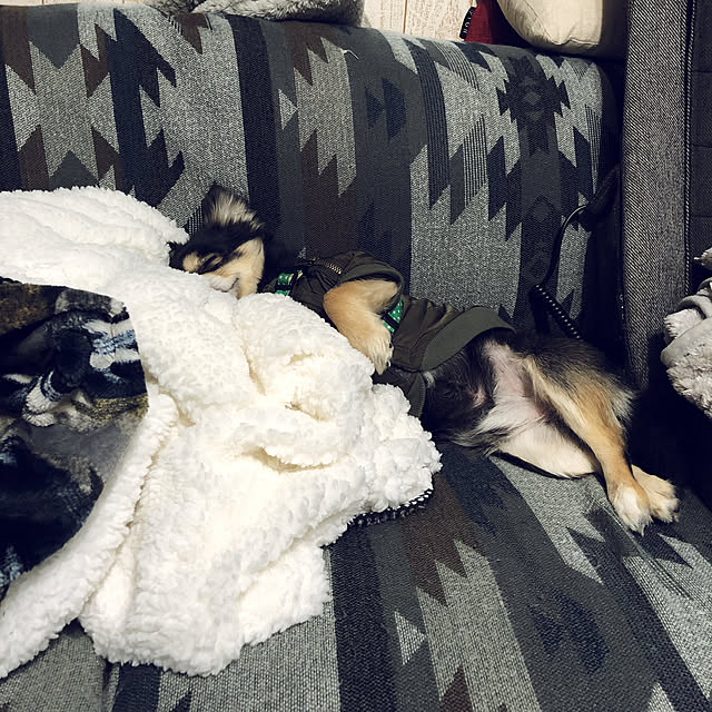 Ayaさんの実例写真