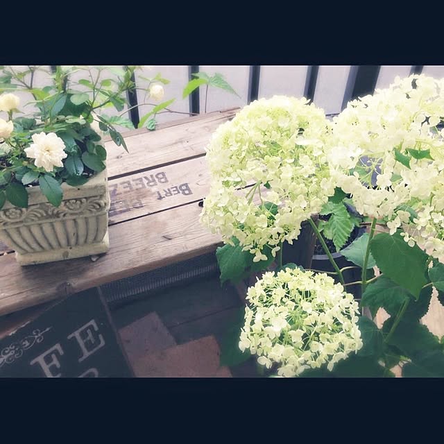 ingさんの実例写真