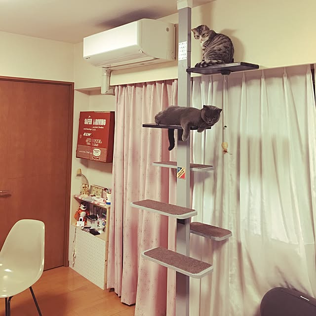 Shojiさんの実例写真