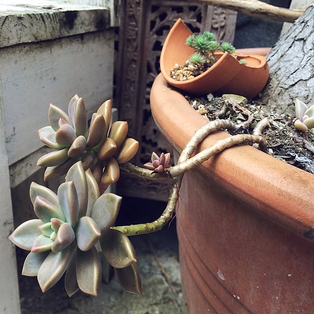 tomo1.1.1さんの実例写真