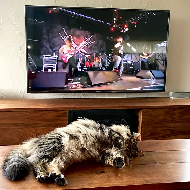 sakurasakuさんの実例写真