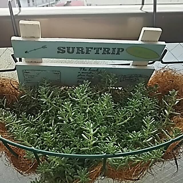 Shochanさんの実例写真