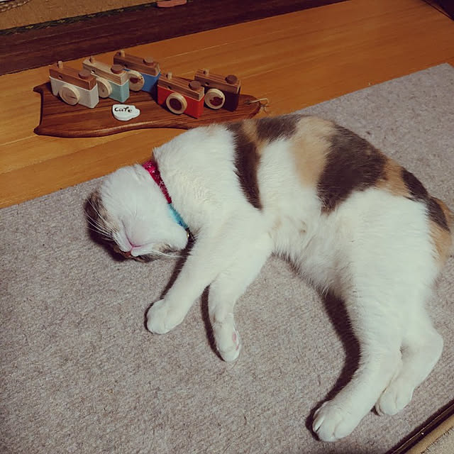 fukuさんの実例写真