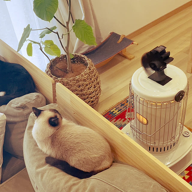 hirokoさんの実例写真