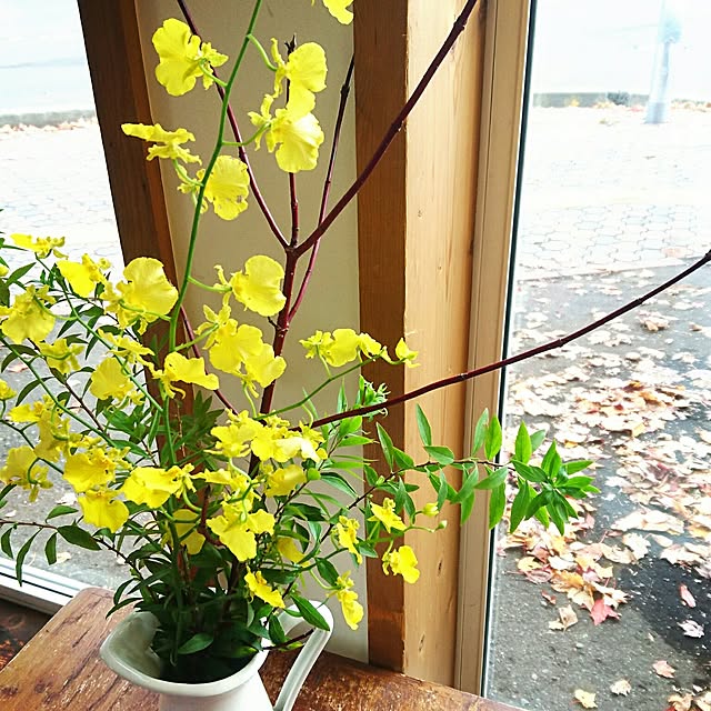 akikoさんの実例写真