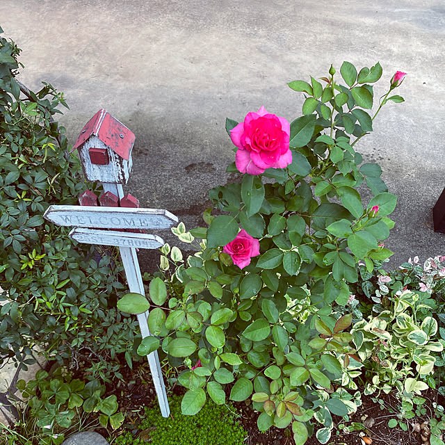 mariko.0109さんの実例写真