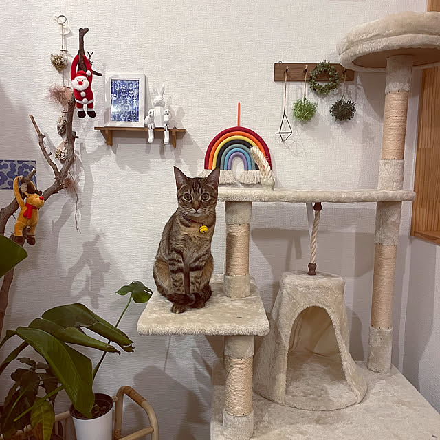 niko.mamさんの実例写真