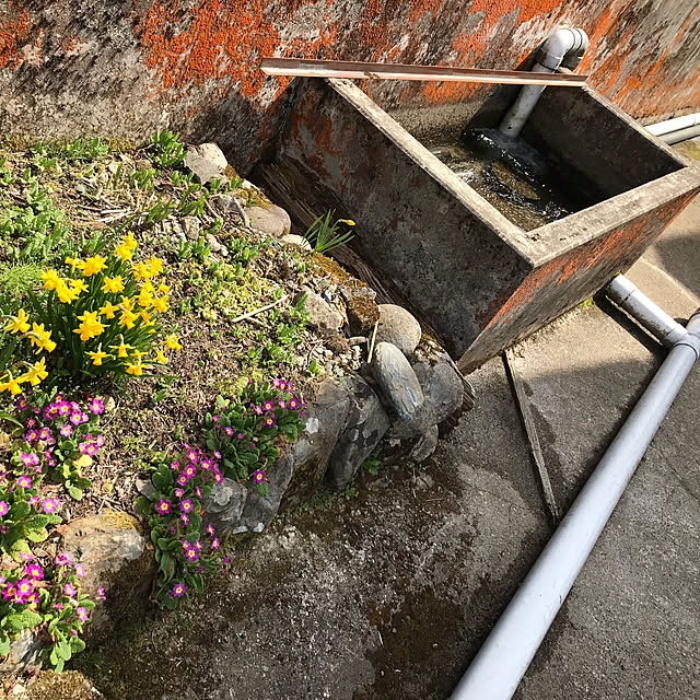 aoinokimiさんの部屋