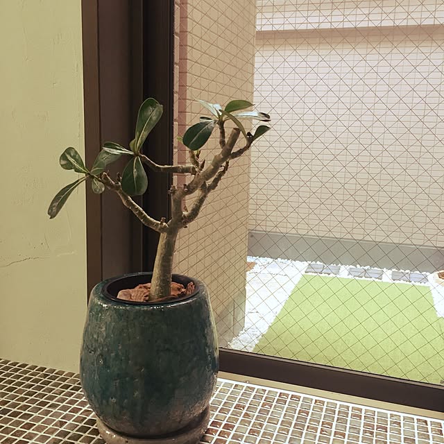 kazukuroさんの実例写真