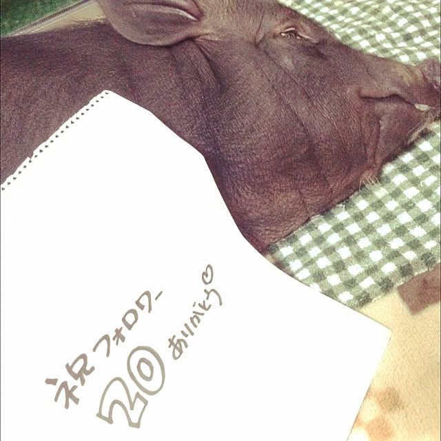 YukAさんの実例写真