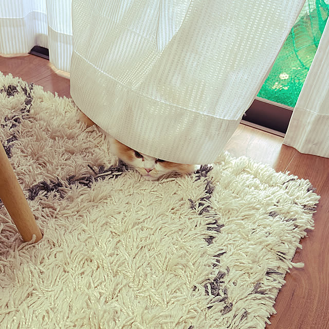 junさんの実例写真