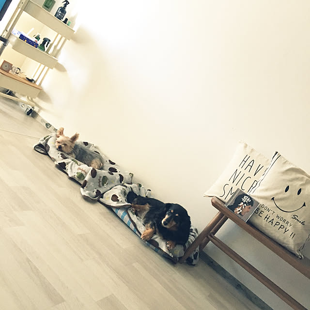ohanaさんの実例写真