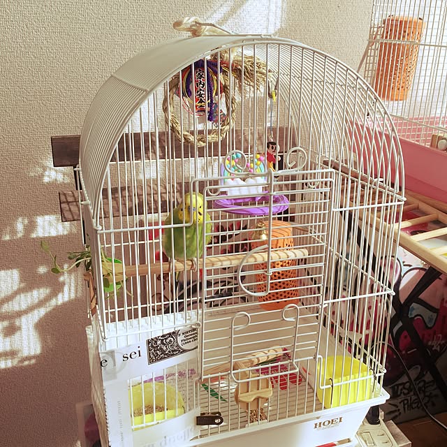 arigato_ochikuwachanさんの実例写真
