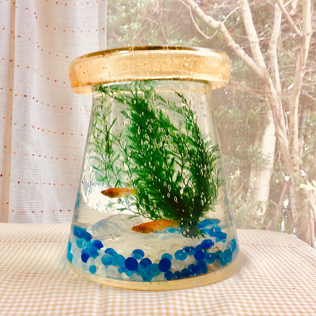 takananaさんの実例写真