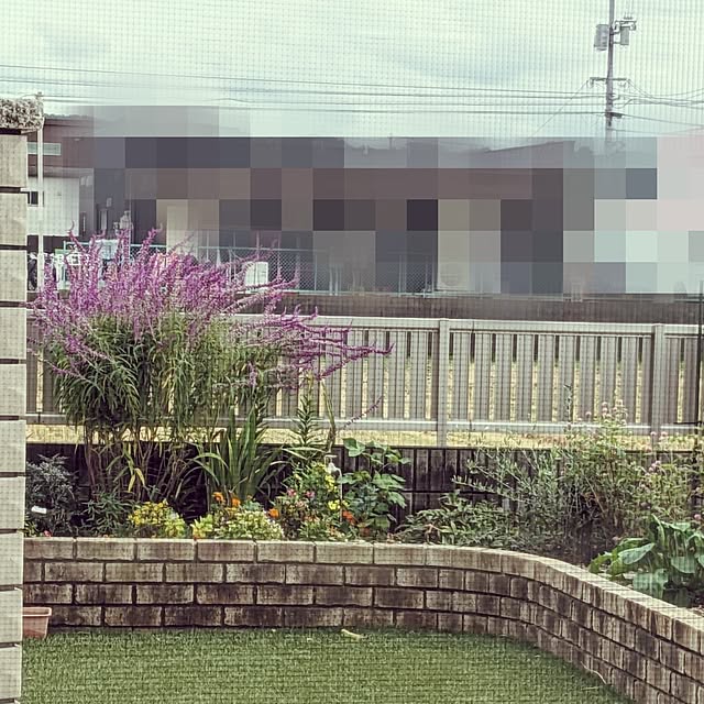 chiz3さんの部屋