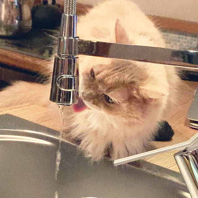 prayprayforyouさんの実例写真