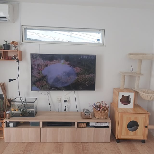 ayumiさんの実例写真