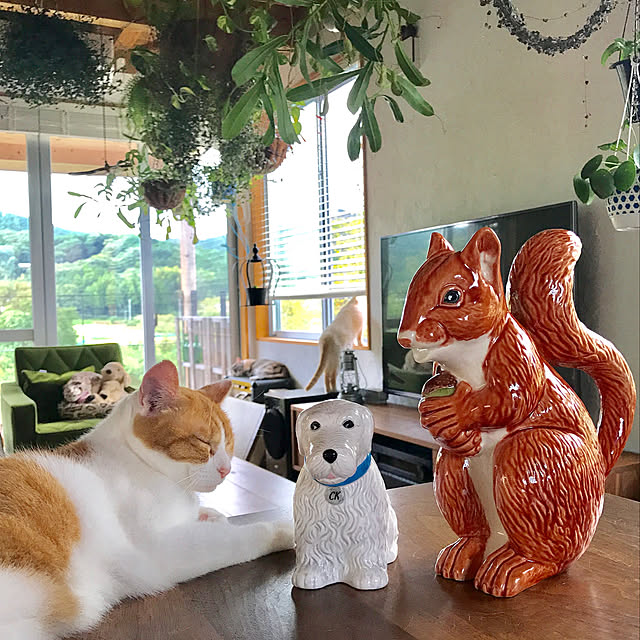 sakurasakuさんの実例写真