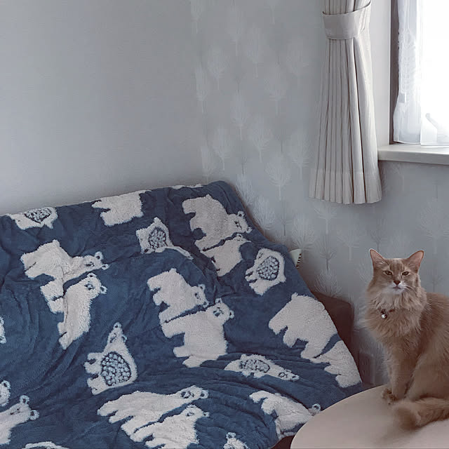 mofucatさんの実例写真