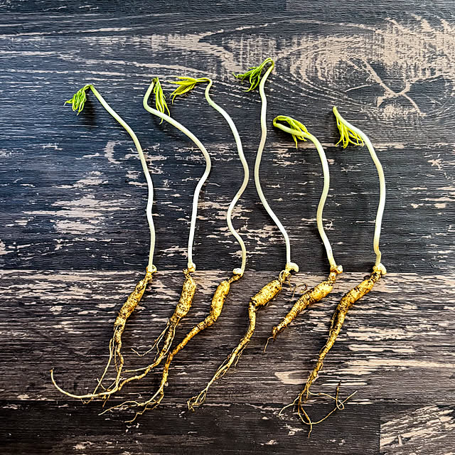 fawnさんの実例写真