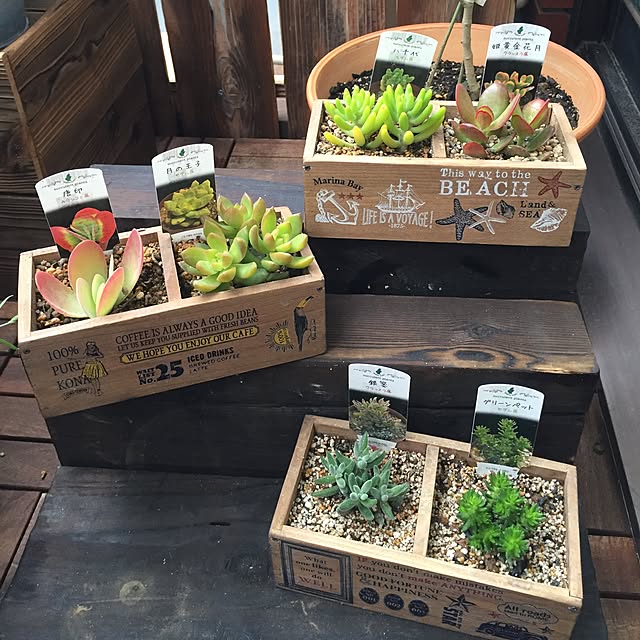 tomo26さんの実例写真