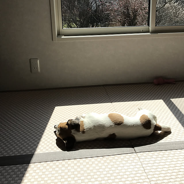 halemi213さんの実例写真