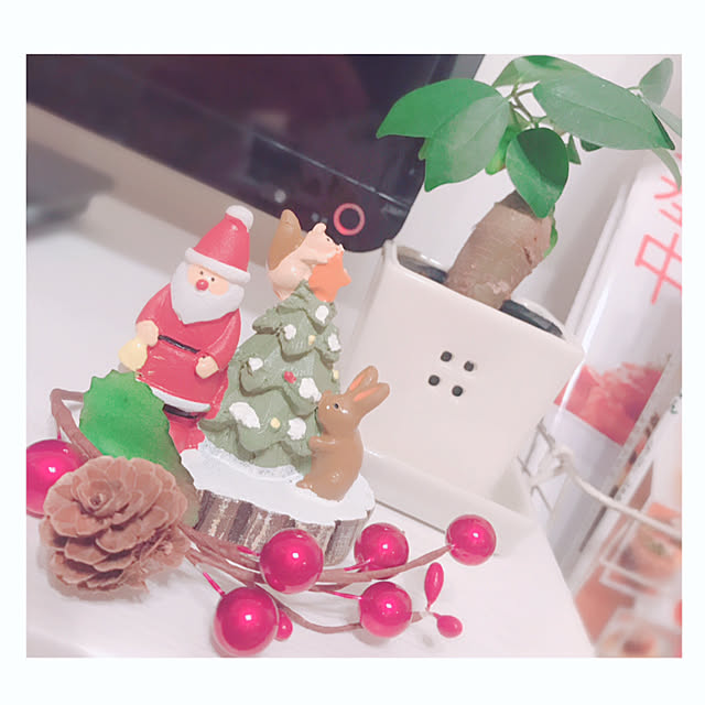 Rurikoさんの実例写真