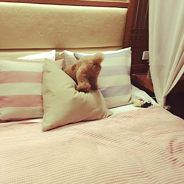 Sophieさんの実例写真