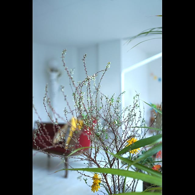 Design papa Ka-tuさんの実例写真