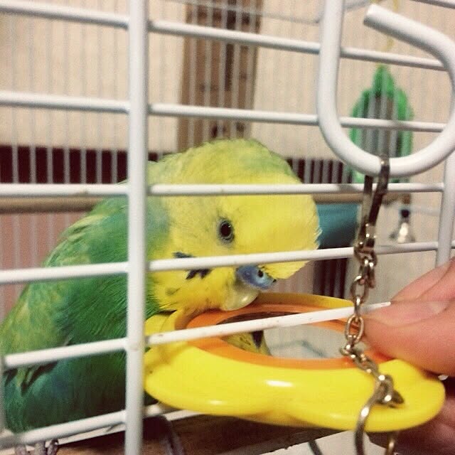 mgさんの実例写真