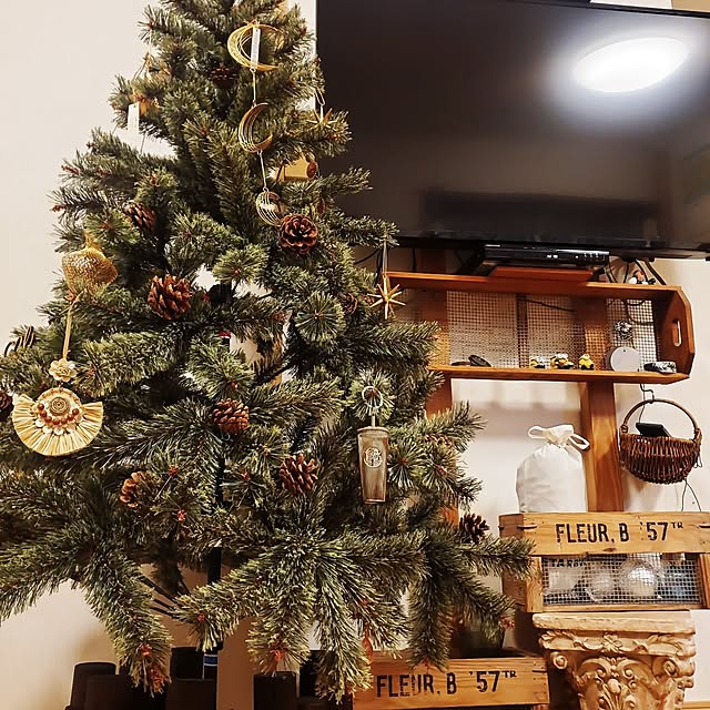 konさんの実例写真