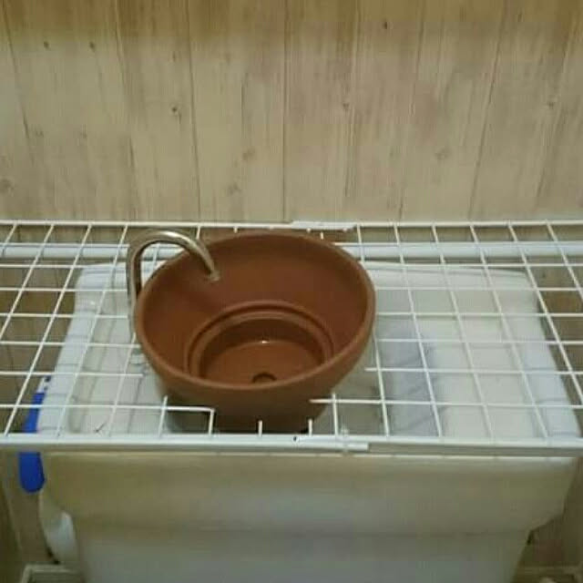azuさんの実例写真