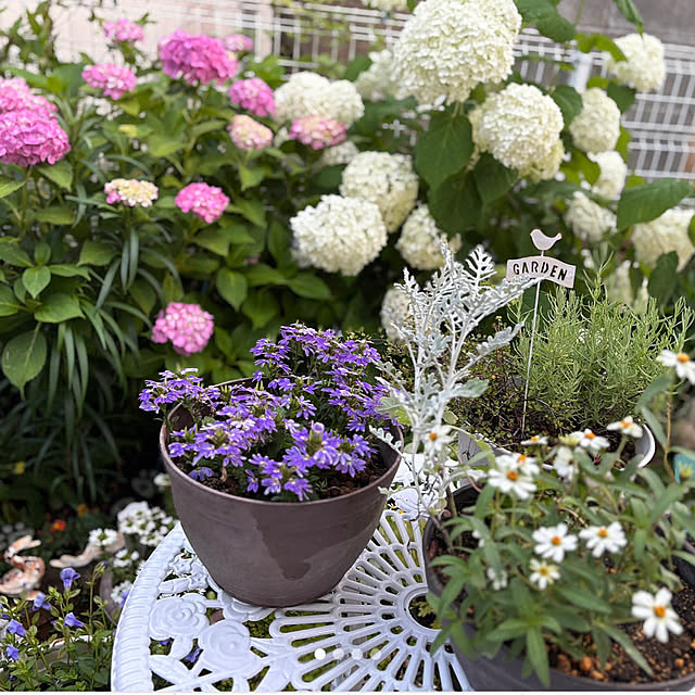 CoCo0617さんの実例写真