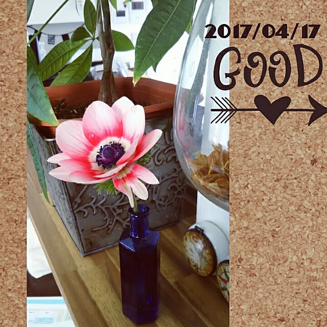 bousuke.215112さんの実例写真