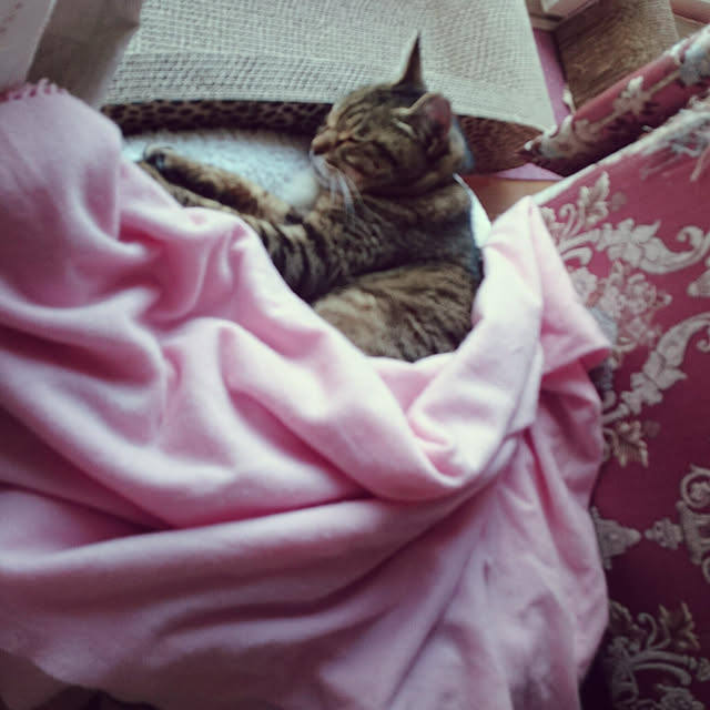 lilyさんの実例写真
