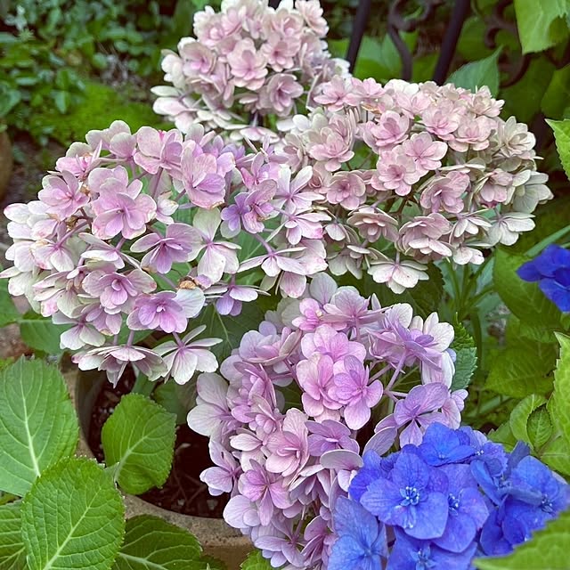 min_nimさんの実例写真