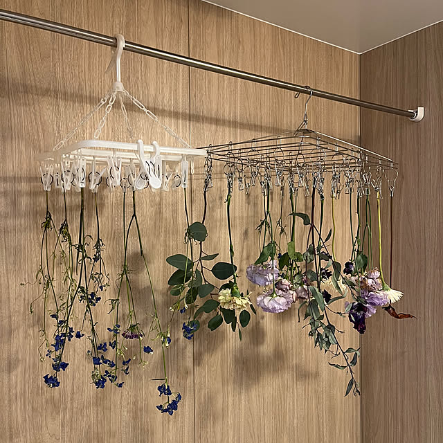 take_nokoさんの部屋